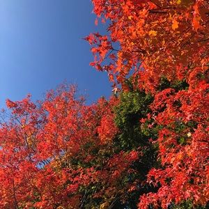 Meet your Posher, Qi